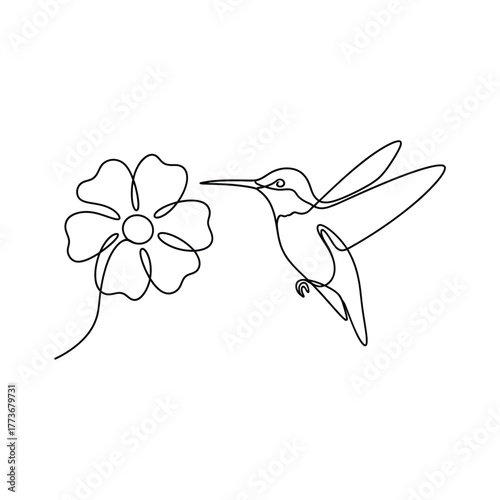 Elegant single line drawing of a hummingbird hovering near a delicate flower capturing the grace and beauty of nature in a minimalist artistic style
