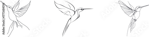 Continuous line drawing of a bird is a good fit for modern illustration, particularly in minimalist design, logo branding, and the creation of abstract minimalism posters