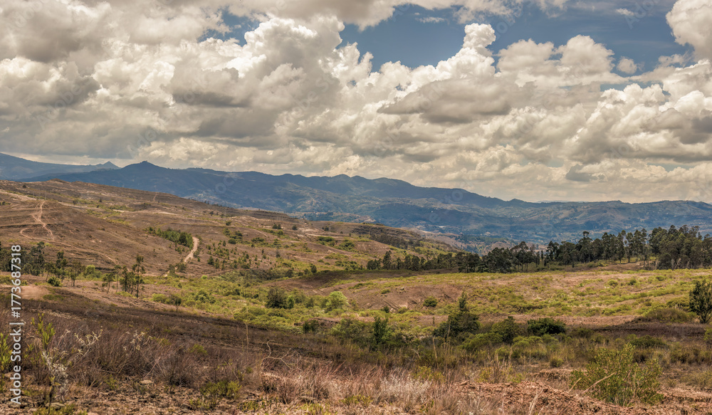 Naklejka premium Composite panorama of the landscape of the La Candelaria desert, with dense bright clouds at the horizon, in the eastern Andean mountains of central Colombia, near the town of Raquira.