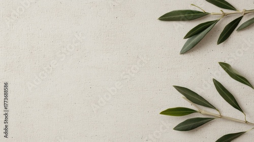 Colorful childish pattern featuring olives and olive oil elements