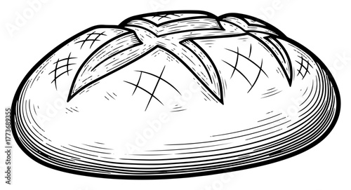 Vector rustic loaf of bread — artisanal round crusty bread bakery sketch illustration