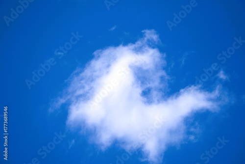 Obraz na płótnie A solitary white wispy cloud floating in a vast clear blue sky.