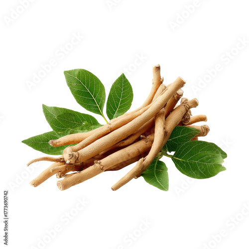 Pile of Ashwagandha roots with green leaves on black background herb herbal, Isolated On Black Background, Png Transparent Background, Cut Out