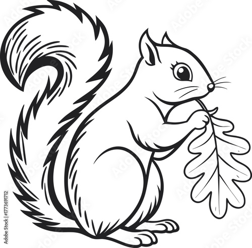 Detailed line art sketch of a squirrel holding an acorn in a naturalistic style isolated on transparent background