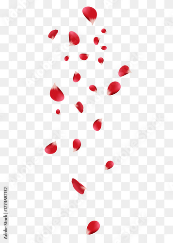 Falling red rose petals. Red petals on transparent background Vector illustration	
