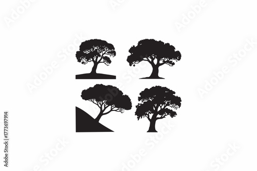 Cork Oak Mediterranean best tree vector silhouettes black image.   