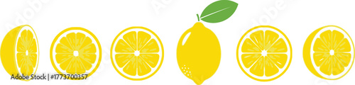 Fresh lemon slices and whole lemon vector illustration art