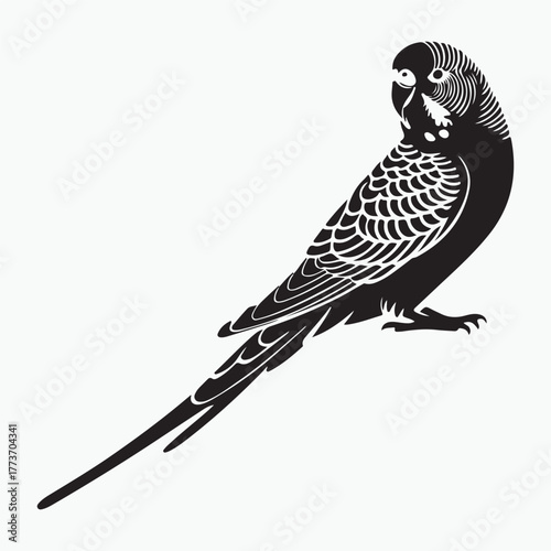 Budgerigar bird silhouette vector illustration on white background