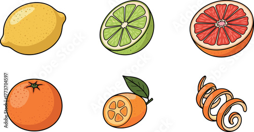 Assortment of fresh citrus fruits and peel