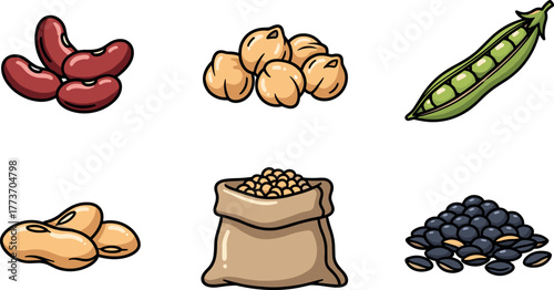Assortment of healthy legumes and beans illustration