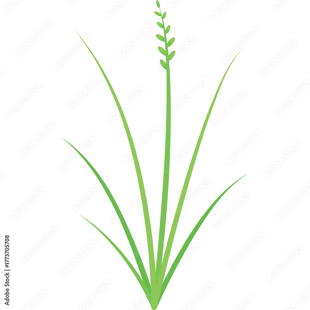 Naklejka premium Simple Green Plant Icon With Tall Stem And Blades On Transparent Background