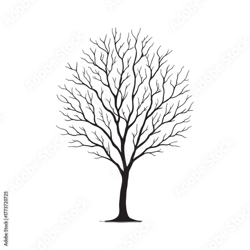 A silhouetted bare tree with intricate branches reaching towards the sky, symbolizing nature's stark beauty and the changing seasons