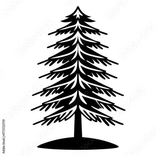 silhouettes of trees