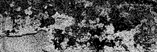 Halftone overlay resembling fungus mold. White mildew texture on black background. Grange vector banner for design and creative projects