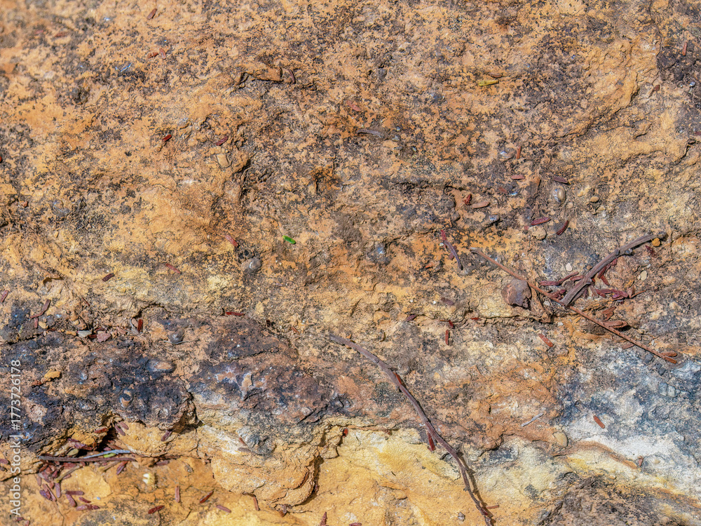 Naklejka premium The texture and colors of a rock in the desert, macrophotography captured in La Candelaria desert, in the eastern Andean mountains of central Colombia, near the town of Raquira.