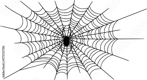 Spider web silhouette vector art with a spider inside, halloween theme, spider, web, spiderweb, silhouette, vector, illustration, design, isolated, black, halloween, arachnid, scary, danger, trap