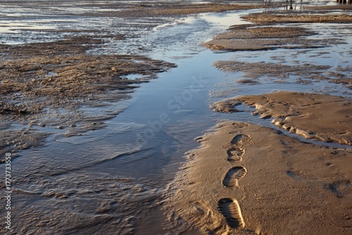 Footprints in wet sand on a tidal flat with water channels at low tide