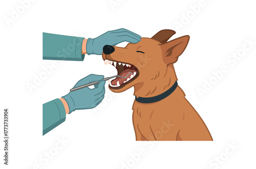 canine dental examination dental health assessment and preventive care flat vector illustration style isolated on white background