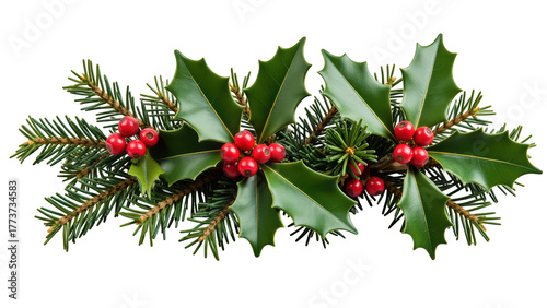 Festive holly leaves and red berries arranged with evergreen branches create vibrant holiday decoration. Perfect for seasonal celebrations