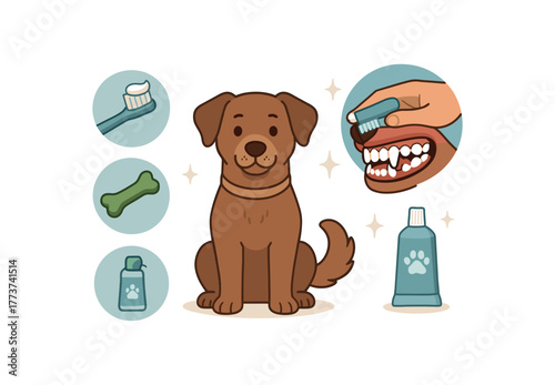 dog dental care infographic pet owner education and oral health awareness flat vector illustration style isolated on white background