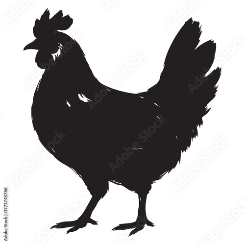 Chicken hen poultry bird silhouette brush texture vector
