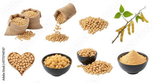 Soybeans and soy powder collection isolated on a transparent background