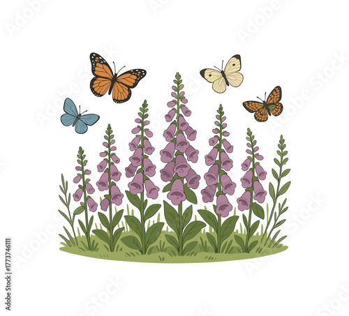 butterflies over foxglove field pollinator habitat and ecological balance flat vector illustration style isolated on white background