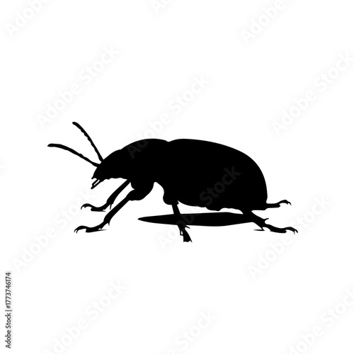 A black silhouette of a beetle with its legs and antennae clearly visible, casting a shadow on a white background.