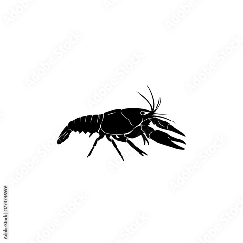 Black silhouette of a freshwater crayfish or lobster-like crustacean on a white background, depicted in a simple graphic style.