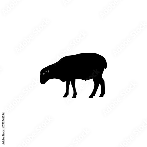 business_2exwnl_via_RJ_Whisk_Auto_vector