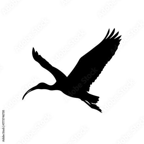 Black silhouette of a flying ibis bird with a long, curved beak against a white background.