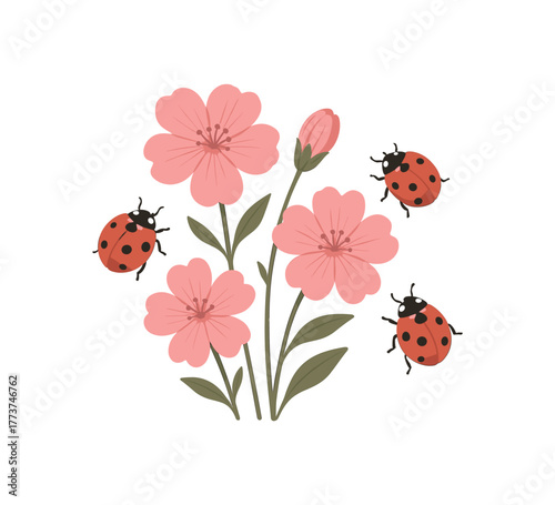 campion and ladybugs insect biodiversity and ecological health flat vector illustration style isolated on white background