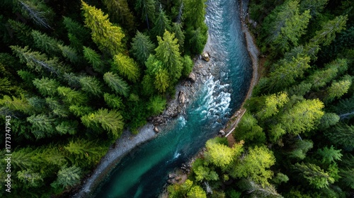 Fototapeta Naklejka Na Ścianę i Meble -  Majestic river flowing through a vibrant green forest in serene nature scene