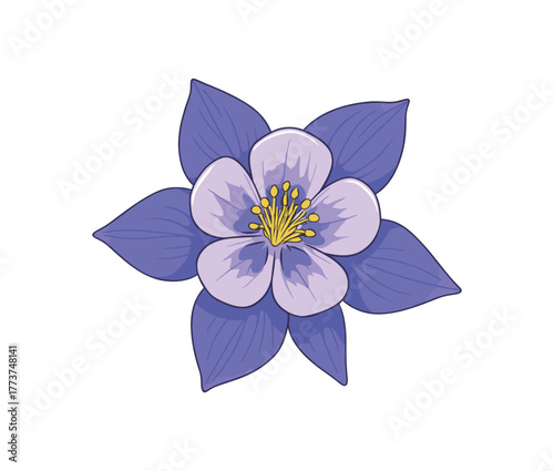 close up of columbine blossom macro nature and delicate details flat vector illustration style isolated on white background