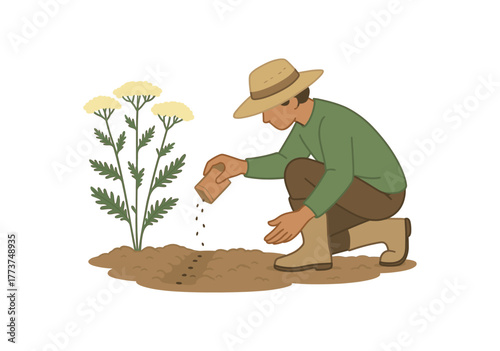 yarrow seed sowing gardening practice and biodiversity creation flat vector illustration style isolated on white background