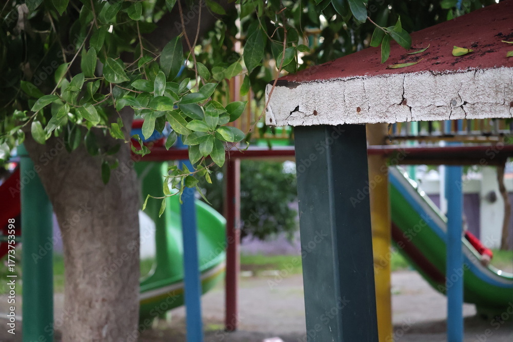 Fototapeta premium lonely park