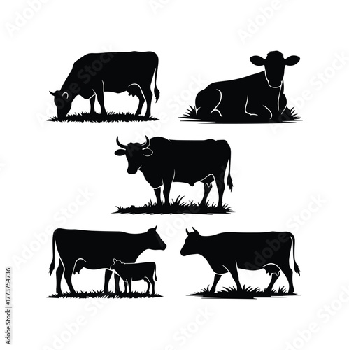 Cow Silhouette Vector Illustration Farm Animal Design Set