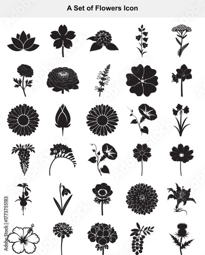 Elegant Black Silhouette Collection of Diverse Botanical Flower Icons