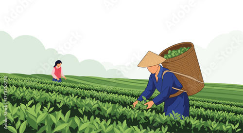 Tea pickers harvesting tea leaves on a tea plantation with rolling hills under a cloudy sky.