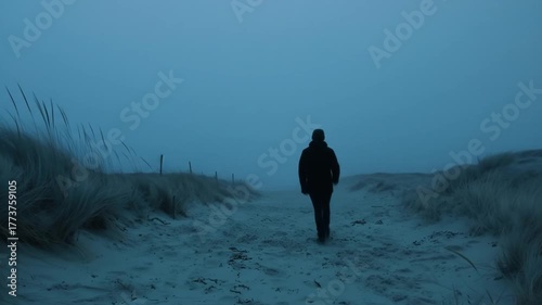 Solitary person walks on a cold, misty sandy path through frosty dunes under a muted blue sky, evoking introspection and loneliness.