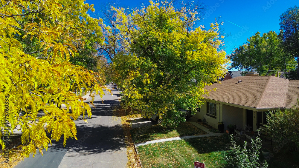 Fototapeta premium Suburban quiet Denver street glows beneath golden honey locusts in peak fall. Two-story homes, clean pavement, and layered shadows create a serene suburban rhythm framed by seasonal foliage
