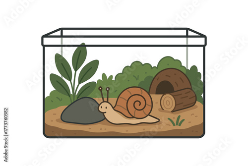 pet snail glass terrarium cozy habitat and slow living concept flat vector illustration style isolated on white background