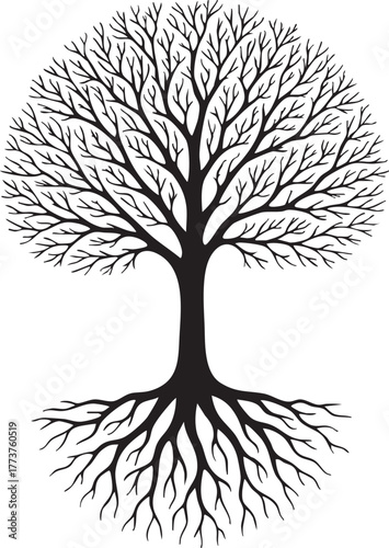 minimalist lone tree silhouette with detailed branches and roots, vector isolated on white background