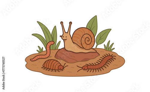 pet snail and other invertebrates shared enclosure and coexistence scene flat vector illustration style isolated on white background