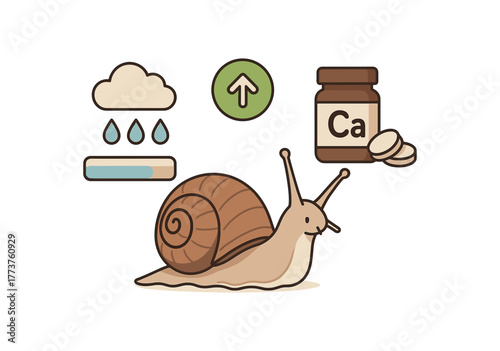 snail care tips proper humidity and calcium support for healthy growth flat vector illustration style isolated on white background