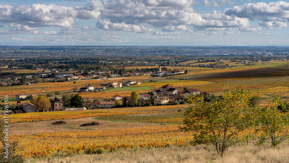 Obraz premium Paysage du vignoble du Beaujolais dans le département du Rhône à l'automne autour du village de Odenas