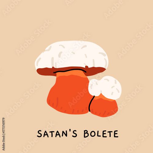 Toxic and poisonous mushrooms flat vector illustration set. Death cap, destroying angel, deadly webcap, fools mushroom, satans bolete, funeral bell, false chanterelle, deadly fibrecap.