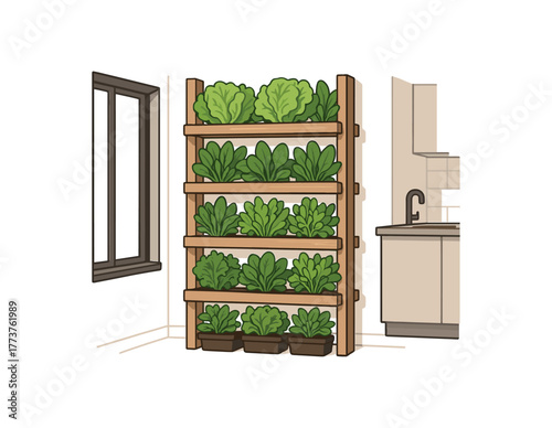 vertical vegetable growing lettuce and greens compact city apartment flat vector illustration style isolated on white background