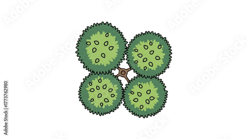 Top-down vector illustration of a cluster of four vibrant green symmetrical trees, ideal for landscape design plans and nature-themed graphics