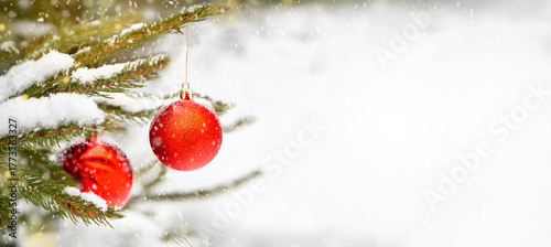 Two red Christmas balls hanging on the branch snow-covered spruce Christmas tree in the winter coniferous forest. Christmas, New Year, winter holiday. Copy space, empty place.